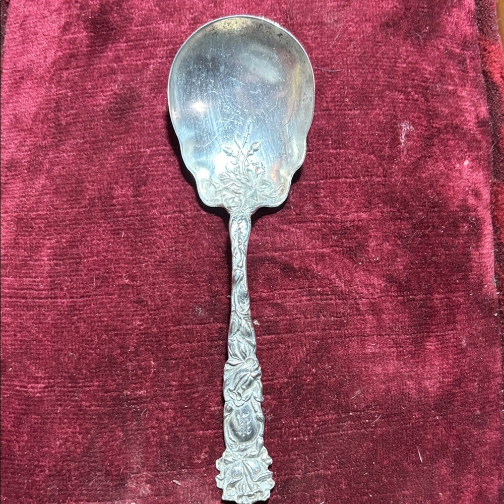 Elegant Silver Decorative Spoon
